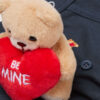 Be Mine Plush Toy Superior bomuldsunderbukser Be Mine Plush Toy Superior bomuldsunderbukser
