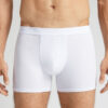 Bomuldsboxershorts med synlig elastik