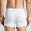 De uforgængelige boxershorts i superior bomuld De uforgængelige boxershorts i superior bomuld